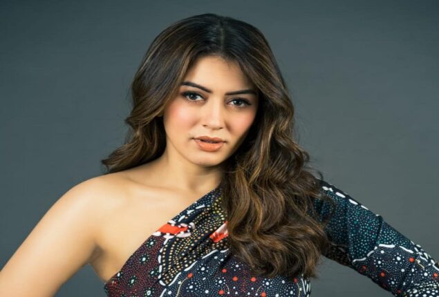 Wedding of Hansika Motwani: Haldi, Mehendi, and other details