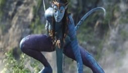 ‘Avatar’ Funko Pops Show Jake and Neytiri are prepared for action