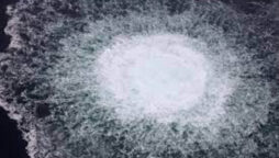 Nord Stream collects Baltic Sea pipeline damage data