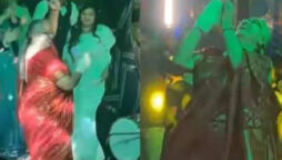 Party-stealing elderly woman dances energetically. Watch