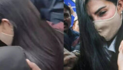 Jacqueline Fernandez to Rhea Chakraborty