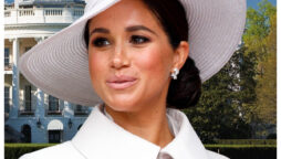 Meghan Markle' scratched at the door like a cat' to see the dying queen