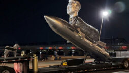 Elon Musk fans make a bizarre 30ft ‘goat’ monument 