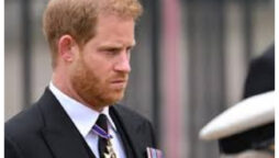 The Firm won’t “get involved” with Prince Harry’s book buzz