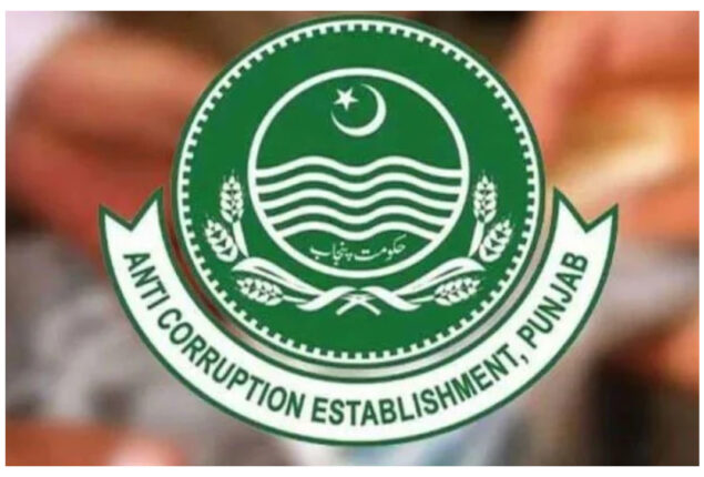 ACE Punjab arrests PML-N Senator’s son