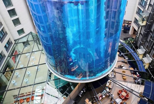 Berlin aquarium bursts, releasing floods and fishes