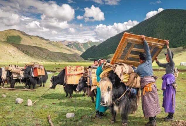 Mongolia’s herders are squeezed between China and Russia