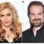 David Harbour claims  Madonna asked him to audition for her movie because she finds him sexy