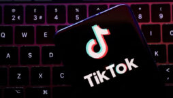 TikTok algorithm