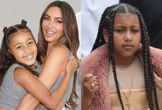 Kim Kardashian criticized after North reveals where she keeps dogs