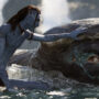 “Avatar: The Way of Water” surpasses $955 million worldwide
