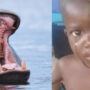 Hippo attacks 2-year-old boy in Uganda