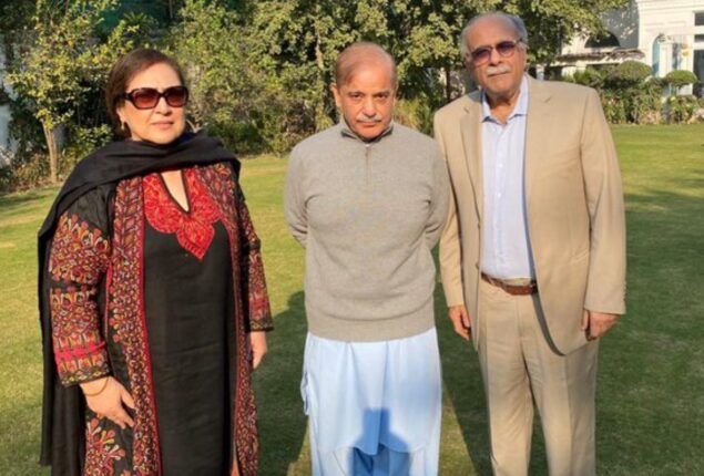 Najam Sethi likely to replace Ramiz Raja as PCB Chairman