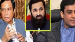 caretaker parliamentary committee