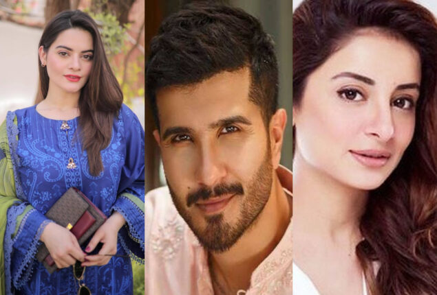 Sarwat Gillani and Minal Khan to sue Feroze Khan