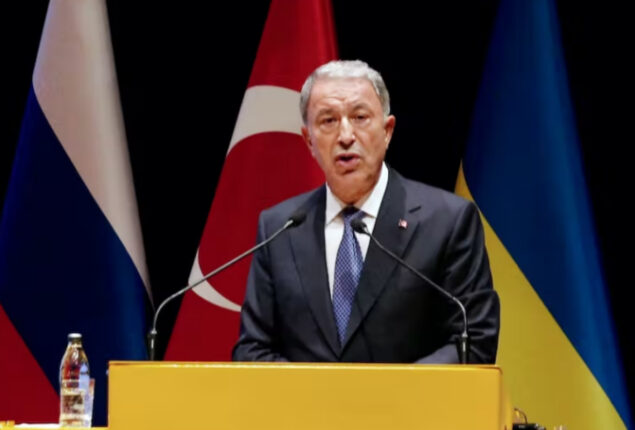 Turkey cancels Swedish defence minister visit after protest permit