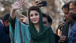 Shehbaz Sharif names Maryam Nawaz as Senior Vice President of PML-N