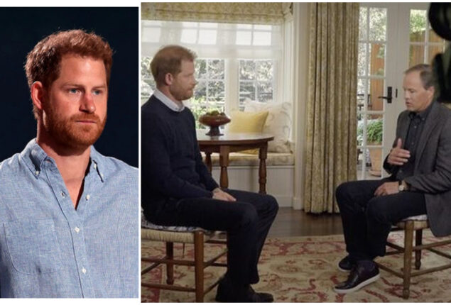 Prince Harry popularity among the British public is 38%