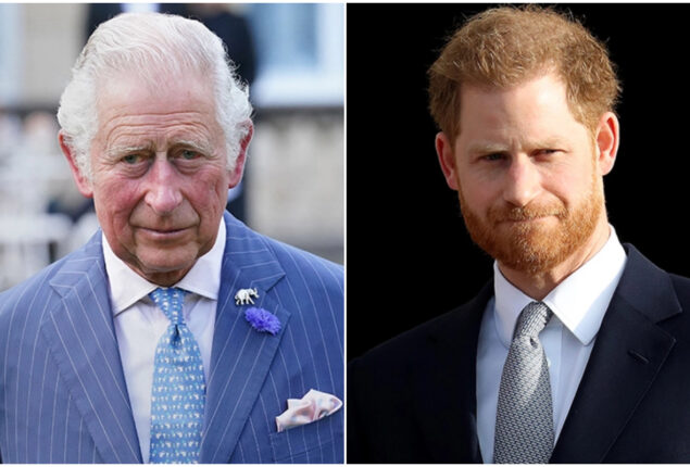 Prince Harry warned for ‘undermining’ King Charles III