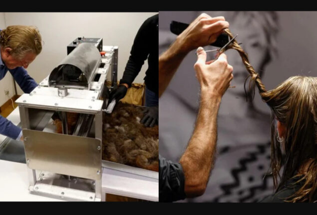 Belgium recycles human hair to save the environment