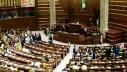 parliamentary committee