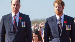 prince harry prince william