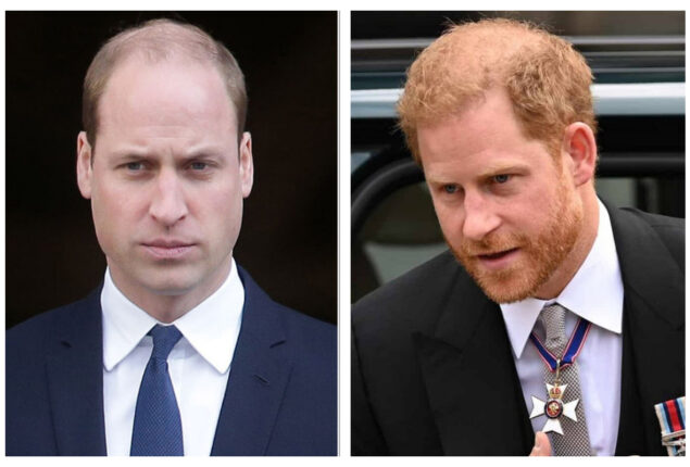 Prince William has ‘list of reasons’ to hate Prince Harry