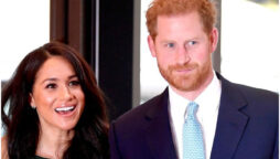 Expert calls Prince Harry and Meghan Markle ‘too toxic’