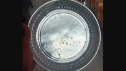 Man find why his mother used same plate for 2 decades till death