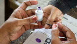 Local Body Elections