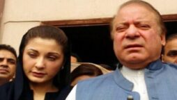 Vote of confidence: Nawaz Sharif, Maryam furious over CM’s win