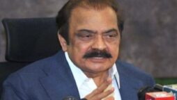 Rana Sanaullah urges PTI to adopt democratic approach to settle disputes