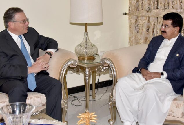 US ambassador discusses bilateral issues with Chairman Senate