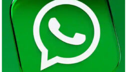 A summary of new and forthcoming WhatsApp updates & features
