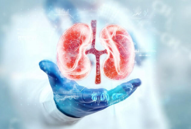 Failing Kidneys: Tips for dialysis patients to stay healthy and avoid frequent hospitalizations