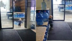 Toddler helping his mother