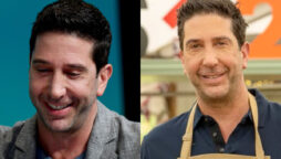 David Schwimmer