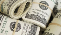 Foreign investors CSR