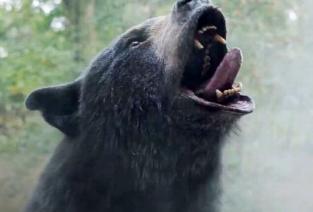 Universal’s action-comedy Cocaine Bear dethrones Ant-Man and the Wasp: Quantumania at box office