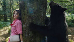 Cocaine Bear box office