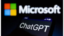 Angry Bing chatbot just imitating humans, say expert