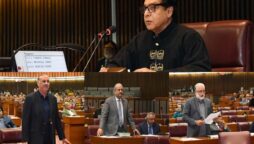 Parliament reiterates moral, diplomatic, political support to Kashmir cause