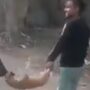 Viral video shows couple swinging a puppy, Twitter users express outraged