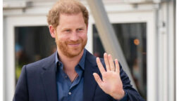 Prince Harry’s interest in pointing out faults is a ‘two-edged sword’