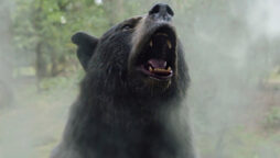 Cocaine Bear shatters global box office with $52 million