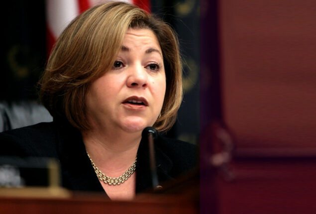 Congresswoman expresses concern on violence against political activists