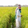 CM Punjab Maryam Nawaz approves wheat support subsidy for farmers