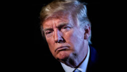 Capitol riot probe Donald Trump