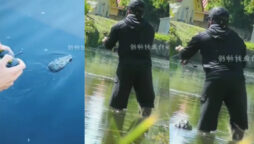 Watch: Man is fishing in knee-deep water when crocodile’s head rubs against his leg; viral