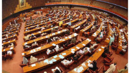 National Assembly session scheduled for December 10
